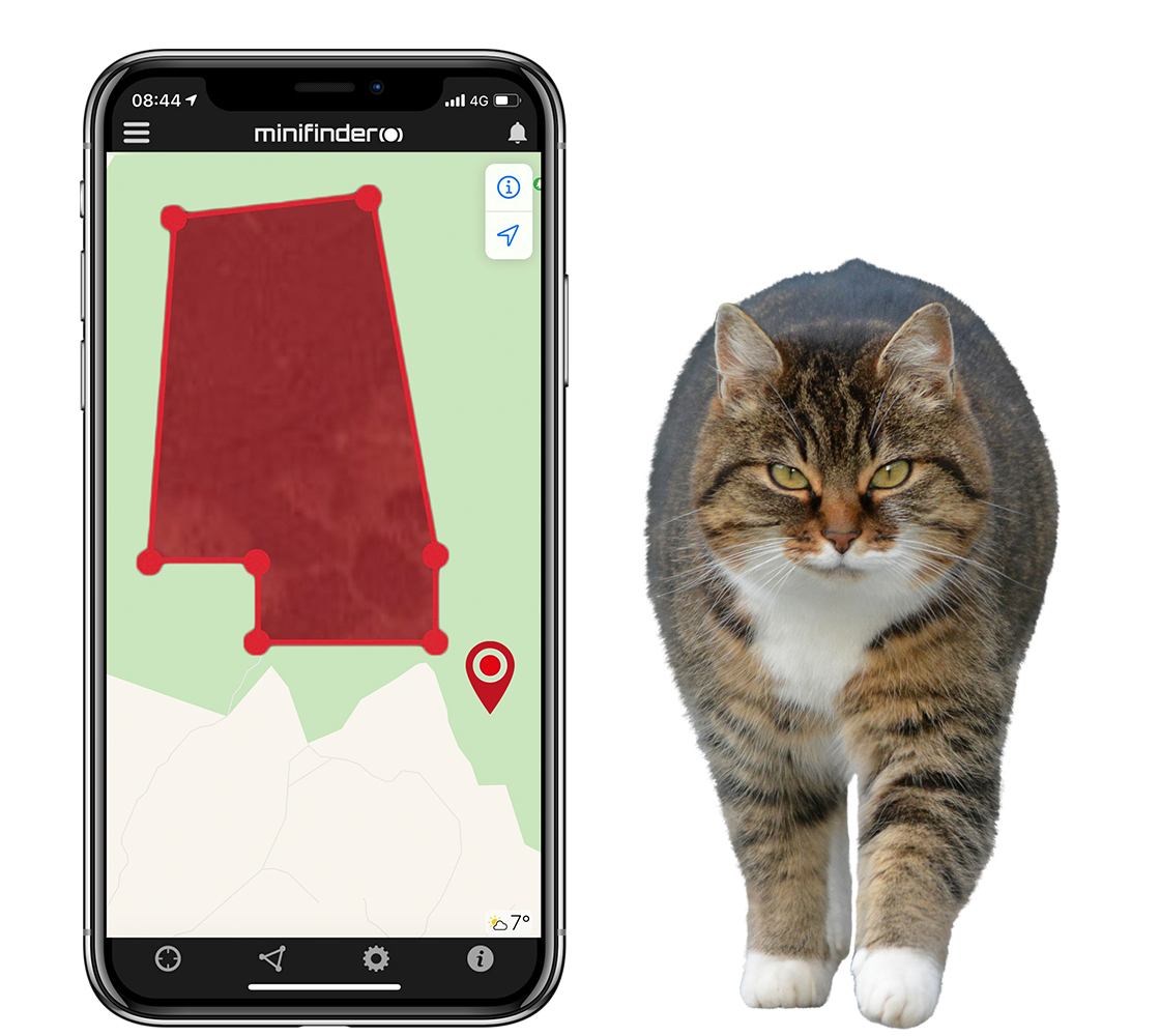 Verfolgen Sie Ihre Katze mit GPS-Technologie