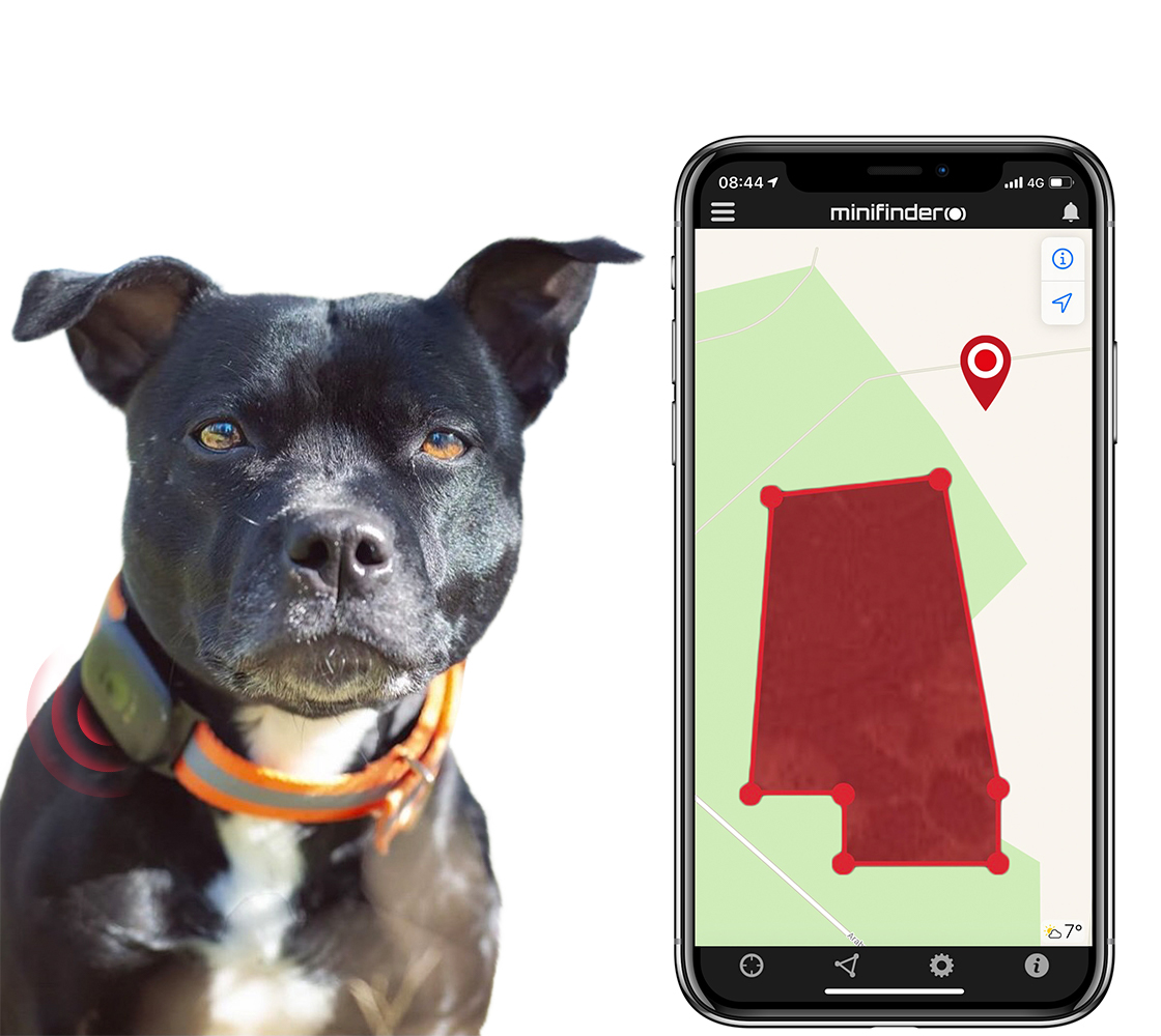 Hund mit GPS-Hundeortung geschützt