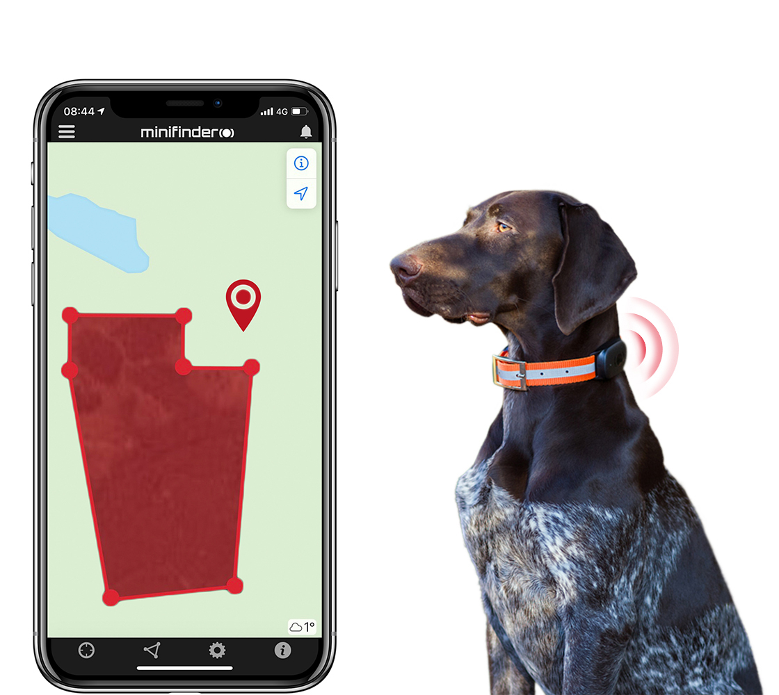 GPS für Jagdhunde macht die Jagd sicherer